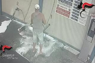 Biella - Lava il cane nell’autolavaggio: 57enne denunciato