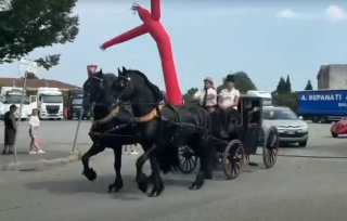 Biella - Successo per la Festa dei Carrettieri: tradizione, sfilate e solidarietà per la LILT