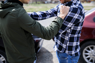 Liti e intemperanze nel Biellese: da piante esotiche a bottiglie lanciate dai balconi