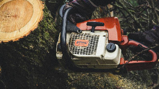 Valdilana e Ailoche - Maltempo, alberi caduti sulle strade: interventi dei Vigili del Fuoco