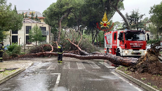 Maltempo nel Biellese - Tanti gli alberi caduti, notte di lavoro per i Vigili del Fuoco
