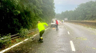 Maltempo nel Biellese: alberi caduti e allagamenti, in azione la Protezione Civile