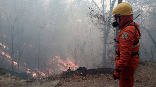 Coggiola - Incendio all’Alpe Noveis, squadre AIB e Vigili del Fuoco al lavoro per domare le fiamme