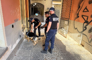 Biella - Controlli nei parchi: nessuna irregolarità, ma sicurezza rafforzata
