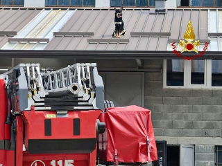 Sagliano Micca - Cane si perde e rimane bloccato su una tettoia, salvato dai Vigili del Fuoco
